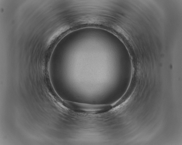 X0000088870922200706081212
