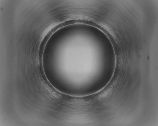 X0000088870927200706081212