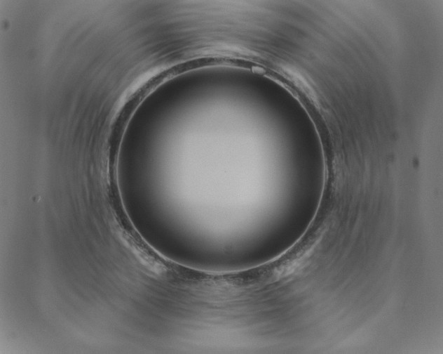 X0000088870931200706081212