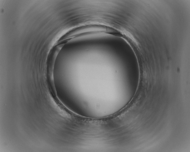 X0000088870934200706081212