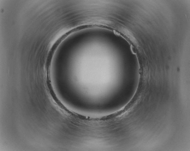 X0000088870936200706081212