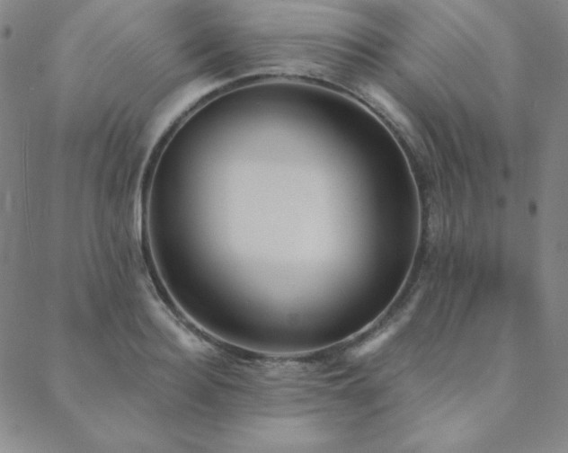 X0000088870940200706081212