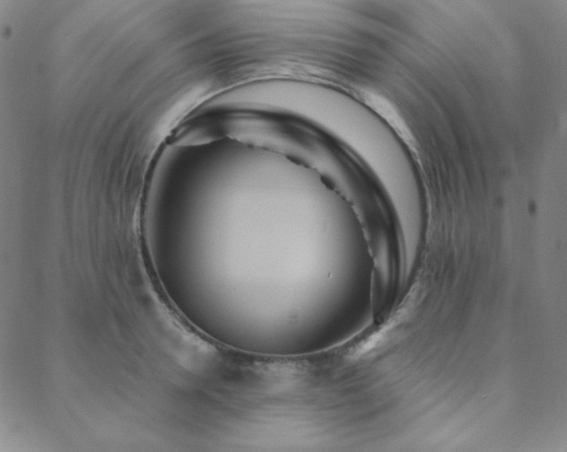 X0000088870946200706081212