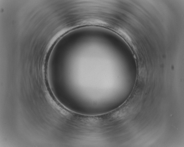 X0000088870947200706081212