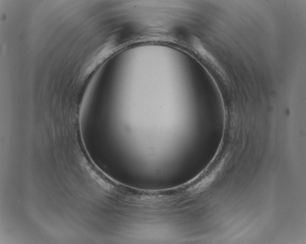X0000088870985200706081211