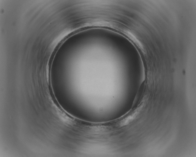 X0000088870988200706081211