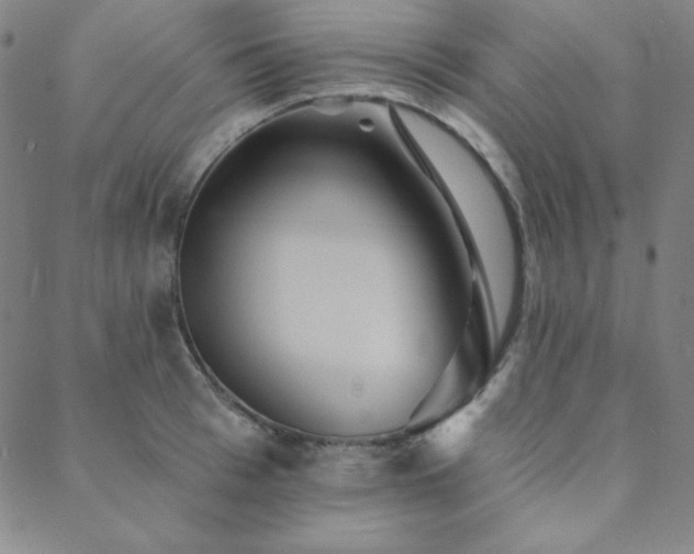 X0000088870993200706081211