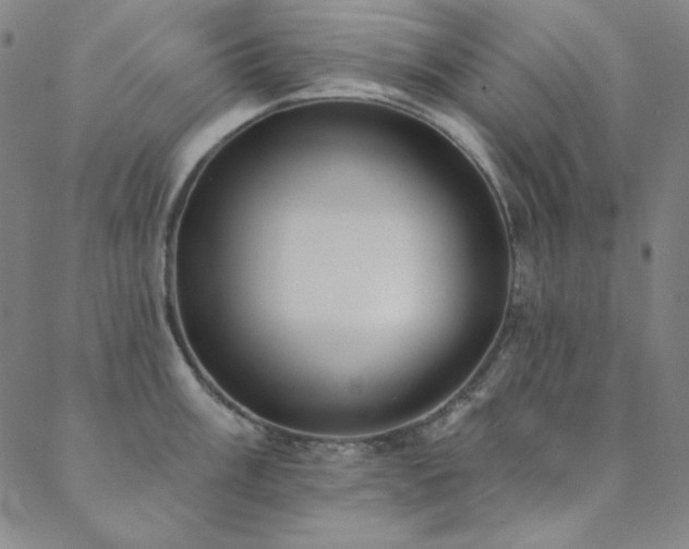 X0000088871003200706081211