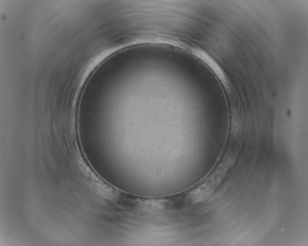 X0000088871004200706081211
