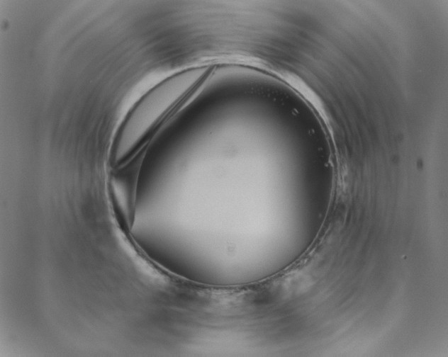 X0000088871005200706081211