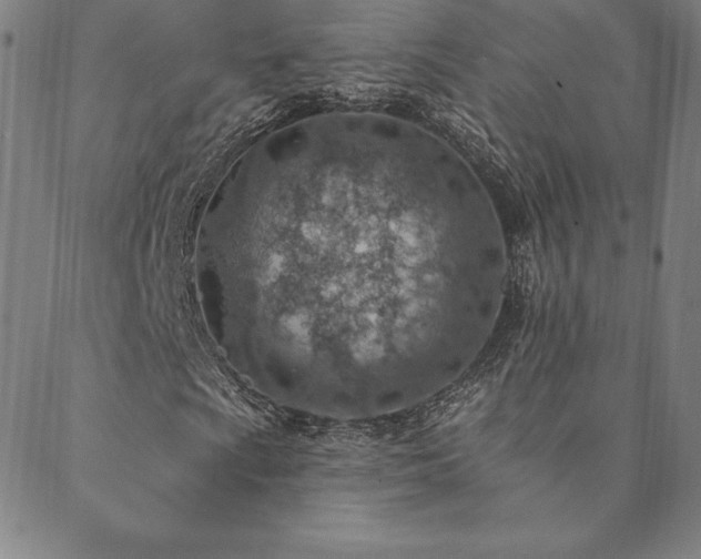 X0000088871009200706081210