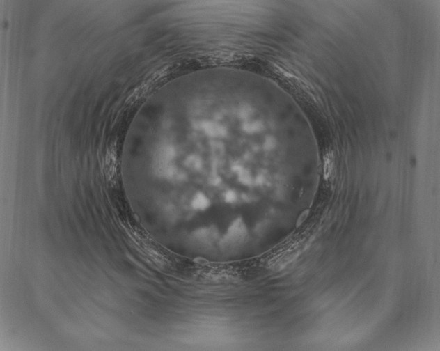 X0000088871011200706081210