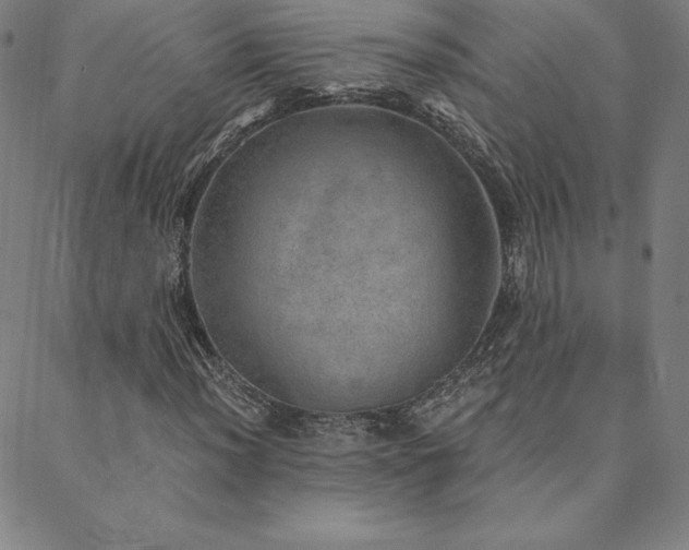 X0000088871012200706081210