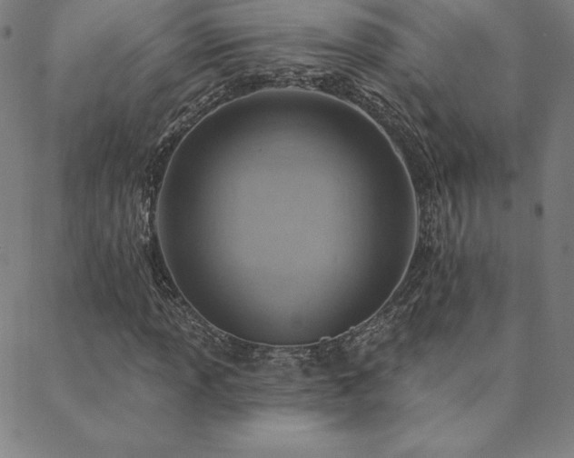 X0000088871013200706081210