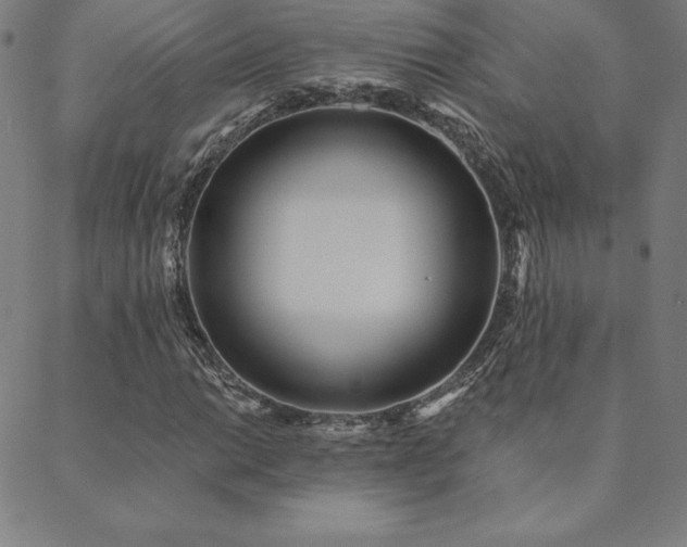 X0000088871014200706081210