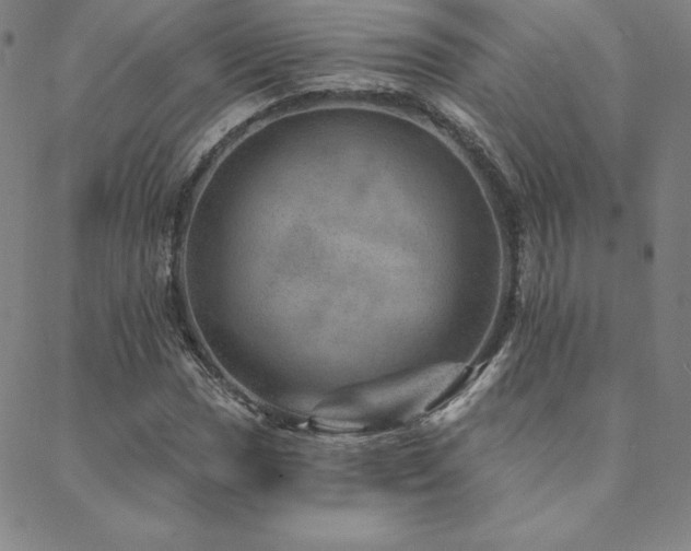 X0000088871017200706081210