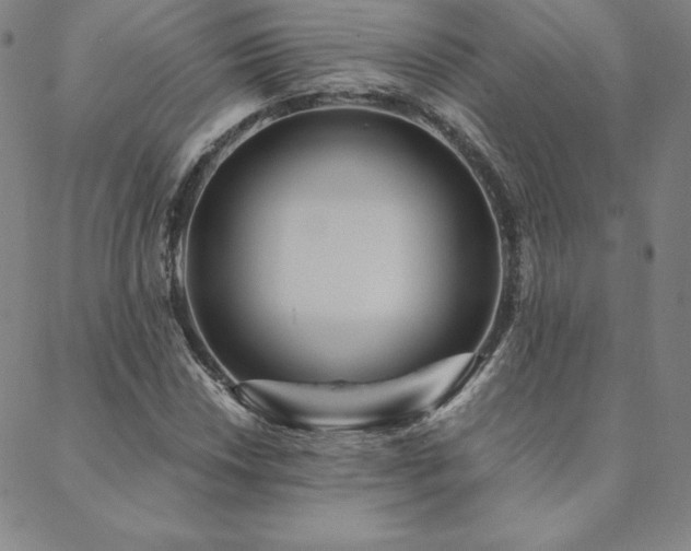 X0000088871018200706081210