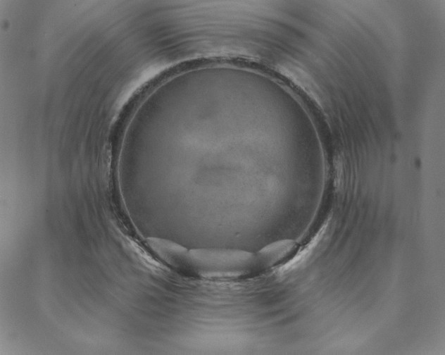 X0000088871021200706081210