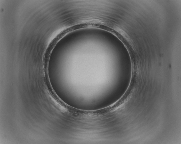 X0000088871022200706081210