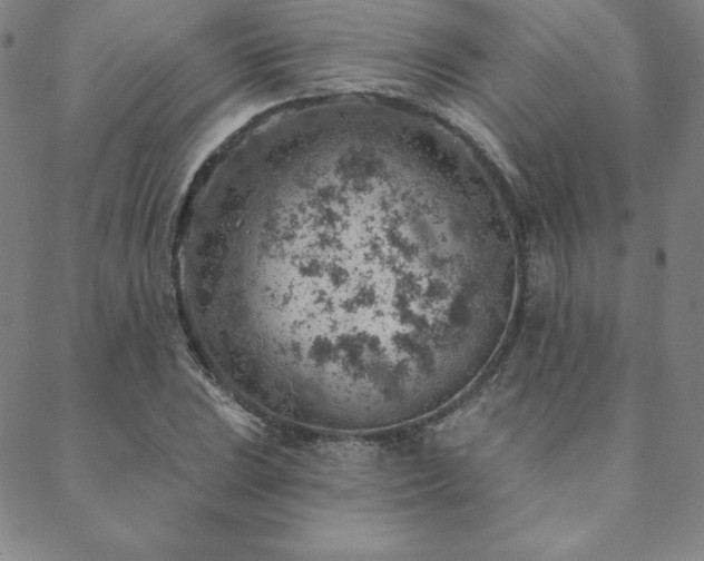 X0000088871023200706081210