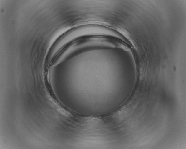 X0000088871024200706081210