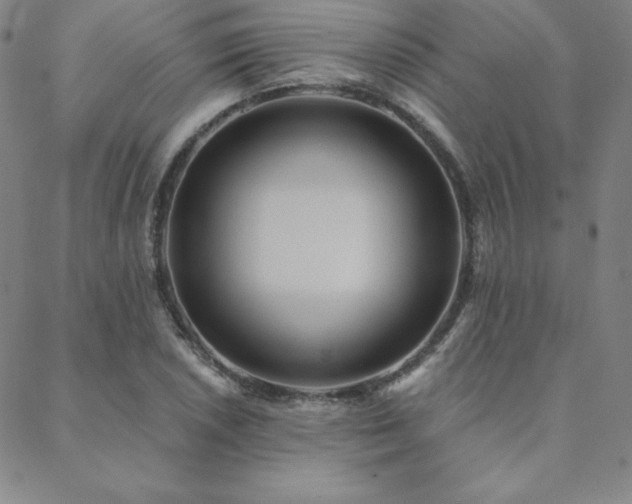 X0000088871026200706081210