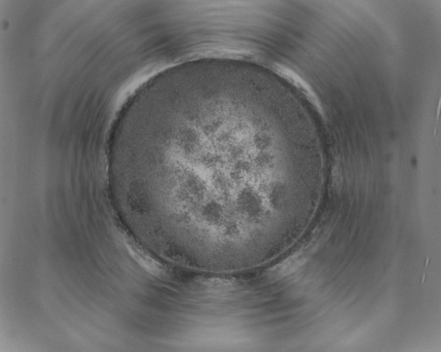 X0000088871027200706081210