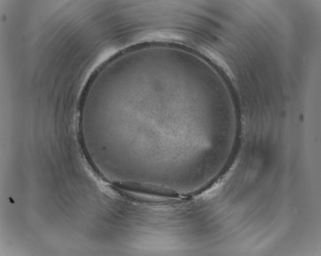 X0000088871029200706081210