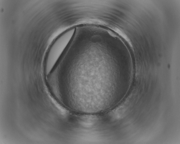 X0000088871037200706081210