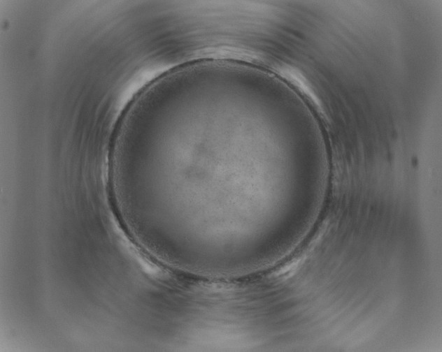 X0000088871040200706081210