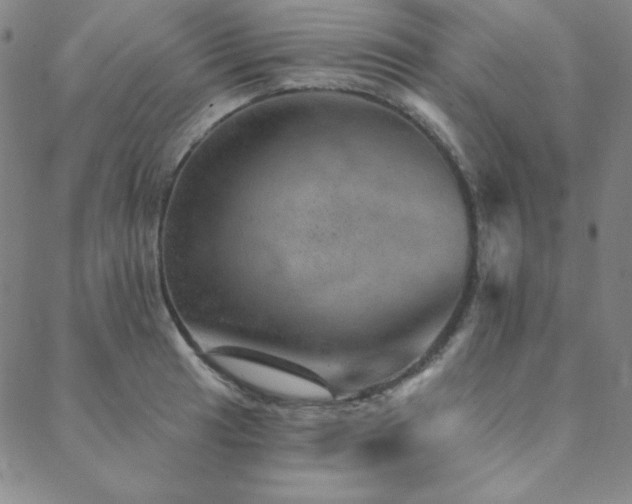 X0000088871041200706081210