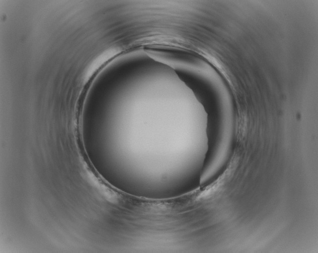 X0000088871042200706081210