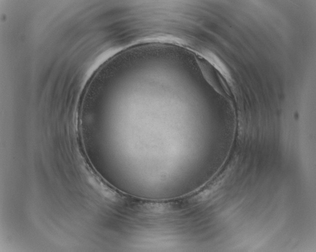 X0000088871044200706081210