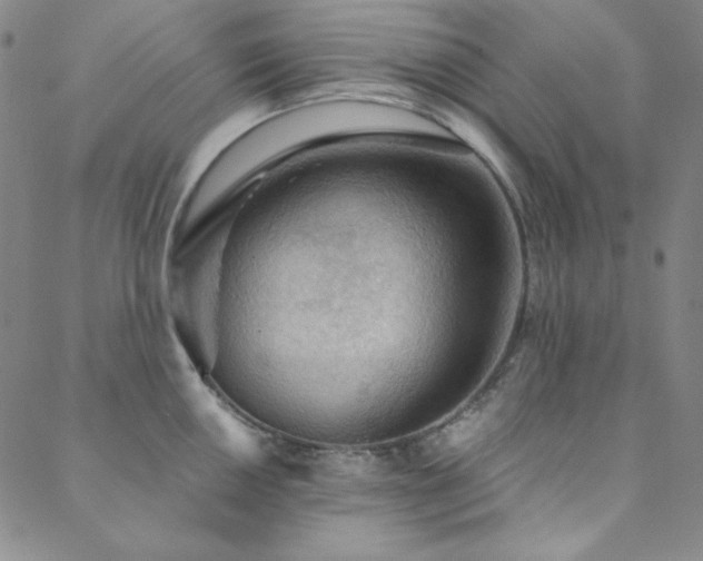 X0000088871050200706081211