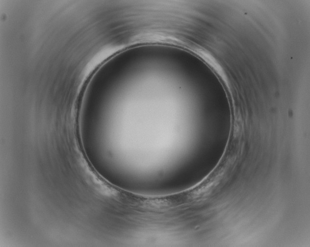 X0000088871053200706081211