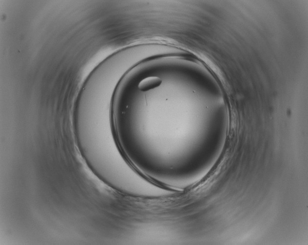 X0000088871054200706081211