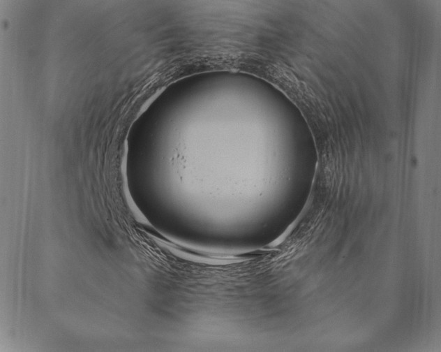 X0000088871057200706081210