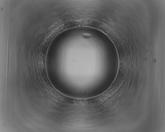 X0000088871058200706081210