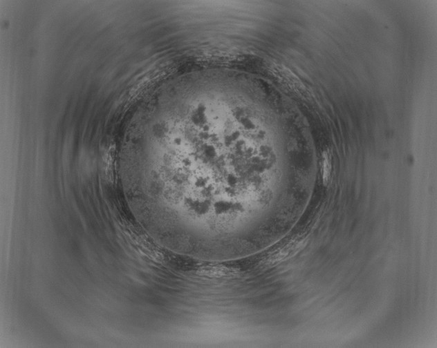 X0000088871059200706081210