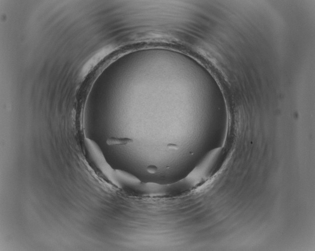 X0000088871066200706081210