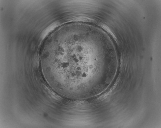 X0000088871067200706081210