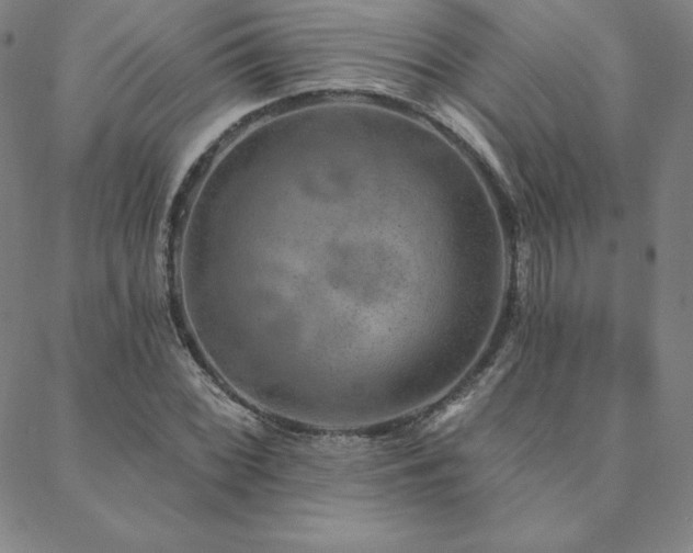 X0000088871068200706081210