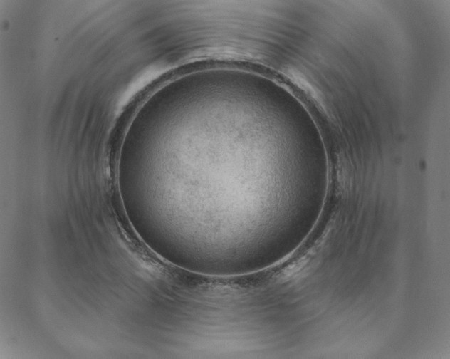 X0000088871070200706081210