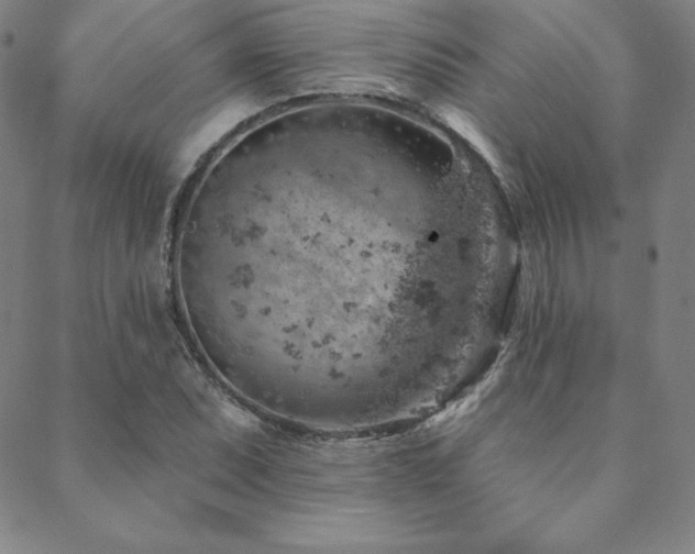 X0000088871071200706081210