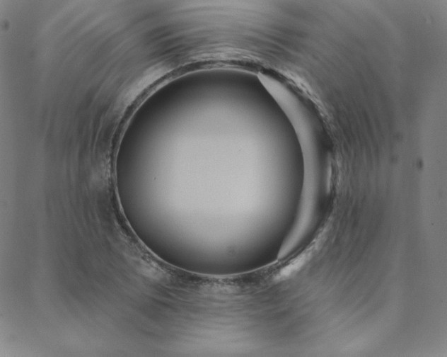 X0000088871073200706081210