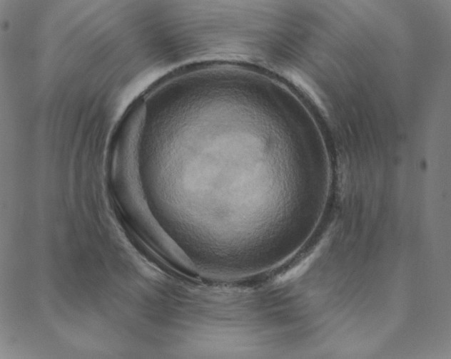 X0000088871077200706081210