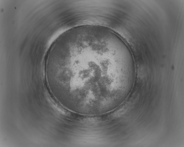 X0000088871078200706081210