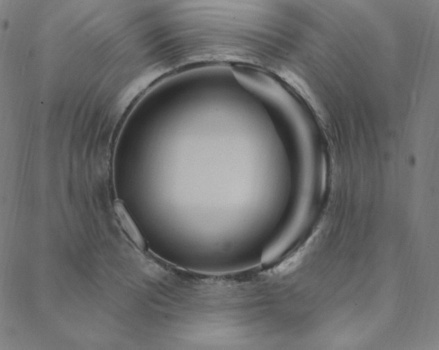 X0000088871081200706081210