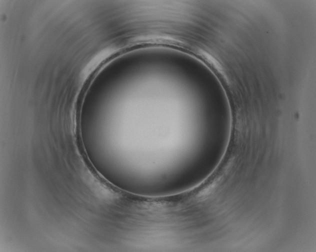X0000088871082200706081210