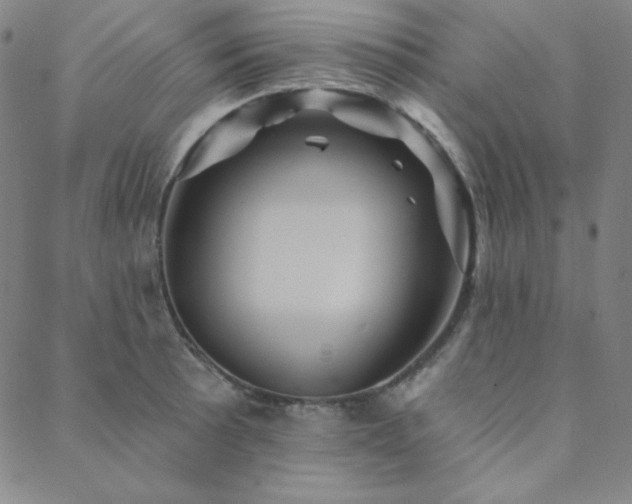 X0000088871089200706081209